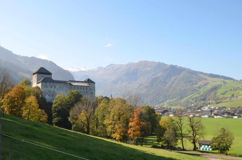 Mountain View Near Kaprun - Steinbock Lodges Piesendorf Exterior photo